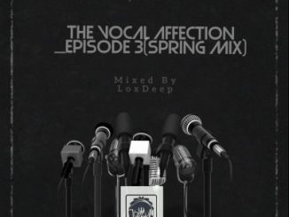 LoxDeep (I.D.K) – The Vocal Affection Set Episode 03 (Spring Mix)