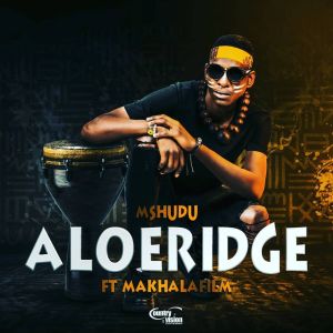 Mshudu – Aloeridge Ft. Makhalafilm