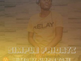 Simple Tone – Simple Fridays Vol. 008 Mix
