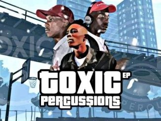 EP: Team Percussion & Toxic MusiQ – Toxic Percussions