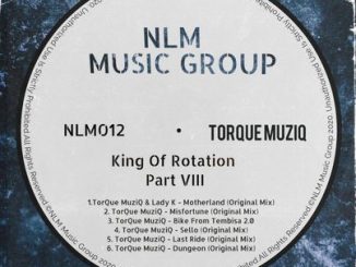 EP: TorQue MuziQ – King Of Rotation Part VIII