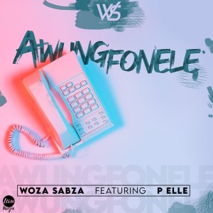 Woza Sabza – Awungfonele Ft. P Elle