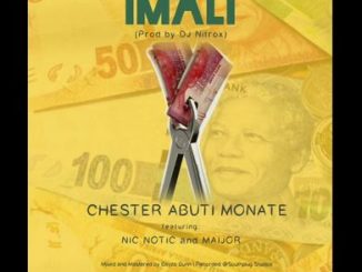 Chester Abuti Monate iMali Fakaza Download Mp3