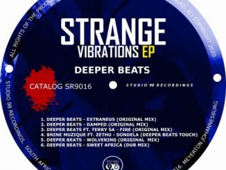 EP: Deeper Beats – Strange Vibrations