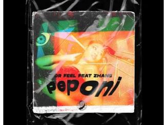 Dr Feel Ft. Zhane – Peponi Mp3 Download