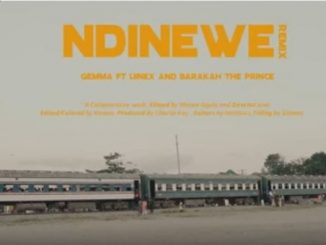 Gemma Ft. Linex and Barakah The Prince - Ndinewe (Remix)
