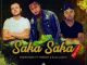 Mapentane, Freddy K & Dalootz – Saka Saka (Vocal Revisit)