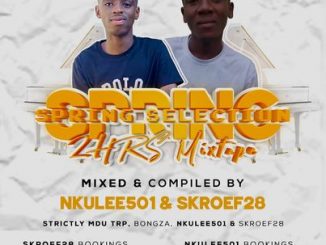 Nkulee 501 & Skroef28 – Spring Selection Mix (Strictly Mdu aka TRP & Bongza)