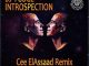 DJ Fudge – Introspection (Cee ElAssaad Introspective Remix)