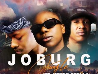 DJ Jawz & Luna Florentino – JOBURG Jungle Ft. Indigo Stella