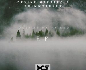 Devine Maestro & ShimmyTones – Deep In My Friend