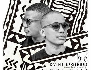 Dvine Brothers, Nokwazi – Woza Mali (Incl. Remixes)
