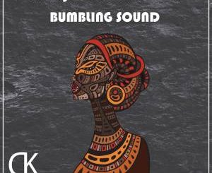 Midnight SA & TorQue MuziQ – Bumbling Sound