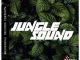NakedSoul, Mash_P & Thekidd – Jungle Sound (Original Mix)