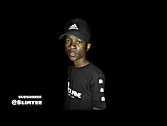 Slimtee – Vuma (Amapiano 2020)