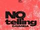 Caianda – No Telling (Original Mix)