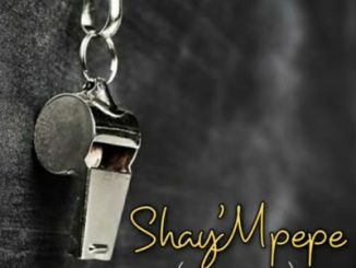 Muzzy D Pilot – Shay’mpempe (Amapiano Mix) Ft. Dj Mavuthela, Ribby De Dj & Rhino