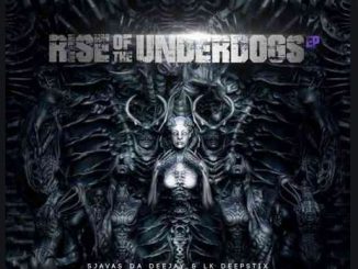 Album: Sjavas Da Deejay – Rise of The Underdogs