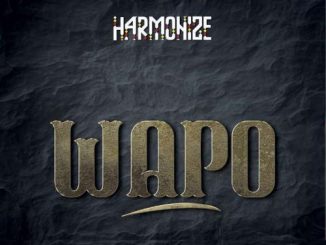 Harmonize – Wapo