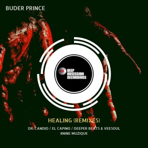 Buder Prince – Healing (Remixes)