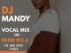 Dj Mandy – Throwback Vocal Dance Mix