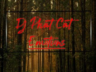 Dj Phat Cat – Emotions