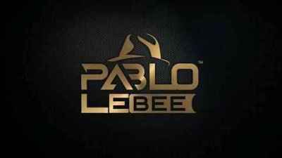 Pablo Le Bee – Skroef 28 In Dub (Christian BassMachine)