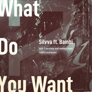 EP: Silvva & Bambi – What Do You Want