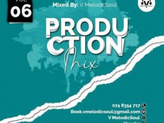 V Melodicsoul – 100% Production Vol. 6