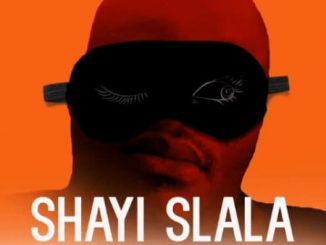 Video: Dr Malinga – Shayi Slala Ft. Team Mosha & Seven Step