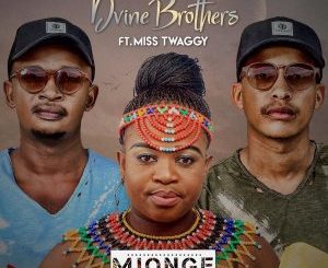 EP: Dvine Brothers & Miss Twaggy – Mjonge