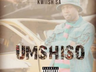 Album: Kwiish SA – Umshiso