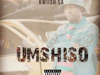 Kwiish SA – Phase 5 Ft. Kelvin Momo, De Mthuda & Lehlohonolo Marota