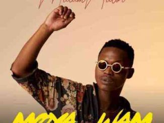 MalumNator – Moya Wam