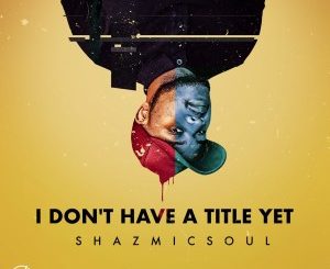 Shazmicsoul – I.D.H.T.Y.