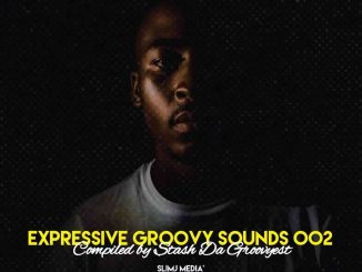 Stash Da Groovyest – Expressive Groovy Sounds 002 Mix