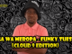 Ceega Wa Meropa – Funky Tuesday (Cloud 9 Edition)