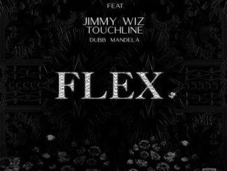 DJ Citi Lyts – Flex Ft. Touchline, Jimmy Wiz & Dubb Mandela