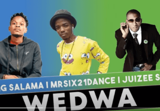 King Salama, Mr Six21 DJ Dance & Juizee SA – Wedwa (Original)