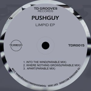 EP: Pushguy – LIMPID