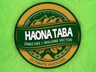 Zinkz Dee – Haona Taba Ft. Malome Vector