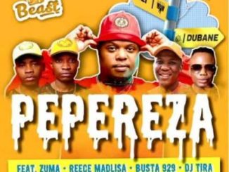 VIDEO: Beast – Pepereza Ft. DJ Tira, Reece Madlisa, Zuma, Busta 929
