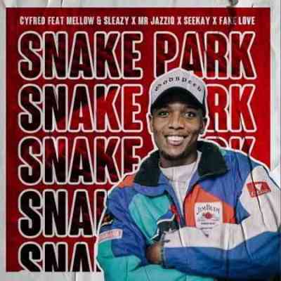 Cyfred, Mellow, Sleazy & SeeKay – Snake Park Ft. Mr JazziQ & Fake Love
