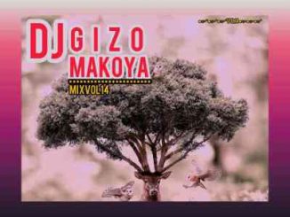 Dj Gizo – Makoya Mix Vol. 14