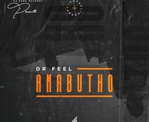 Dr Feel – Amabutho (Original Mix)