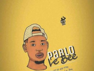 Pablo Le Bee – Baby Boy Vigro Deep (Christian Bassmachine)