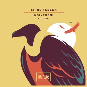 Siphe Tebeka, Toshi – Ndiyekeni (Edit)