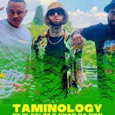 Taminology – Nkao Jola 2.0 Ft. Chad Da Don & Blaklez