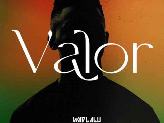 ALBUM: Wadlalu Drega – Valor