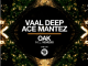 Ace Mantez – Nemesis (Dub Mix 2020)